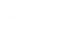 logo cdw 2x