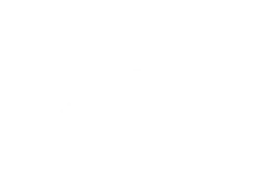 logo himss 2x