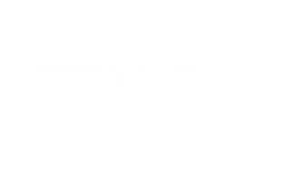 logo vmware 2x